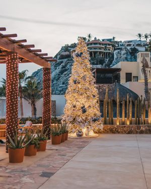 Image post by @wapedregal on Instagram