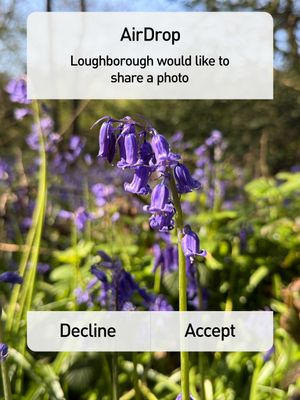 Image post by @lborouniversity on Instagram