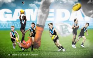Image post by @PAFC on Twitter