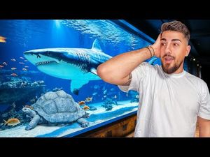 Video post by @PatrickDanielDeac on YouTube