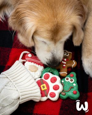 Image post by @wufers on Instagram