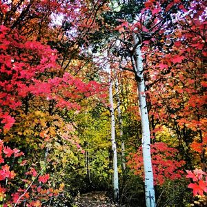 Image post by @pcski on Instagram
