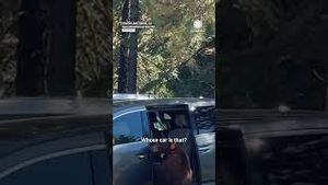 Video post by @accuweather on YouTube