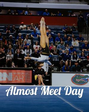 Image post by @mizzougym on Instagram