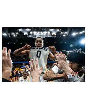 Image post by @paschallphotography on Instagram