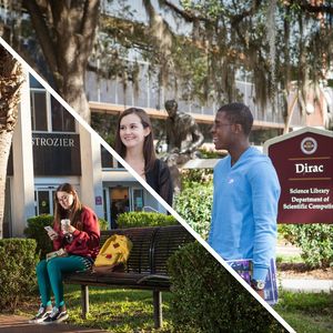 Image post by @fsulibraries on Instagram