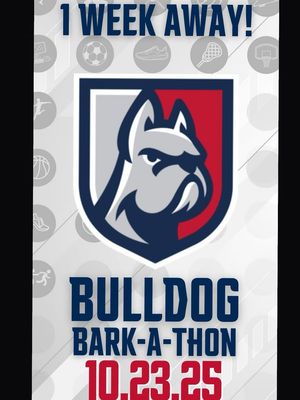 Image post by @dsucheerleading on Facebook