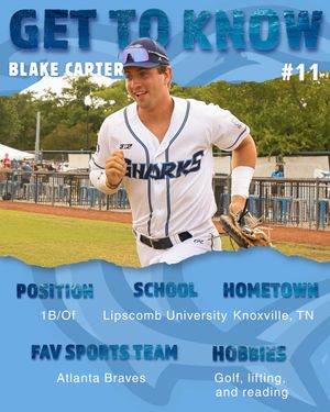 Image post by @ilmsharks on Instagram