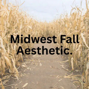 Image post by @midwestvstherest on TikTok