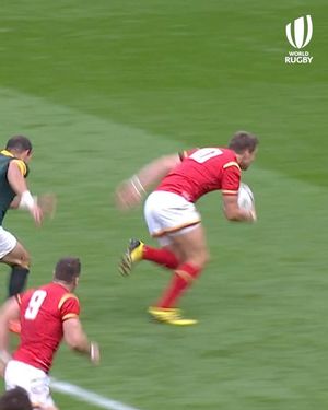 Image post by @rugbyworldcup on Instagram