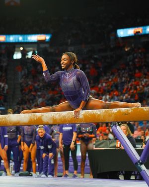 Image post by @cutigervision on Instagram