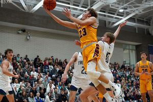 Image post by @laubhan.creative on Instagram