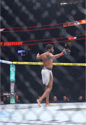 Video post by @ufc on TikTok