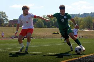 Image post by @trolley_studios on Instagram