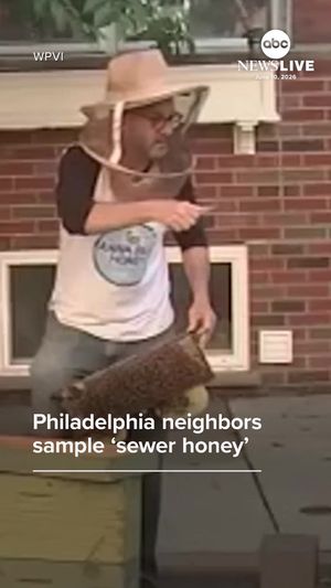 Video post by @abcnewslive on TikTok