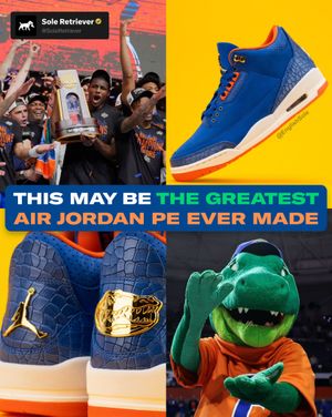 Image post by @soleretriever on Instagram