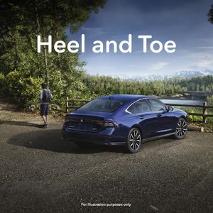 Image post by @westernwahonda on Instagram