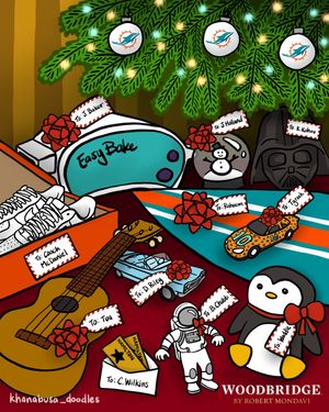 Image post by @miamidolphins on Instagram