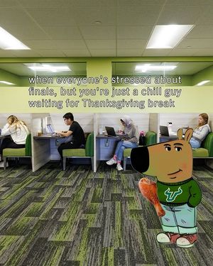 Image post by @usouthflorida on Instagram