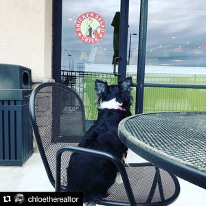 Image post by @chickensaladchick on Instagram