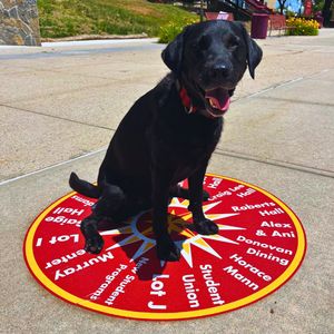 Image post by @rhodeislandcollege on Instagram