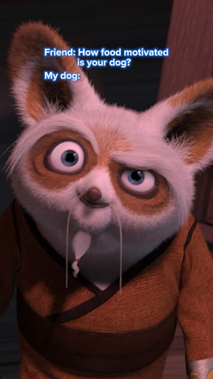 Video post by @dreamworks on TikTok
