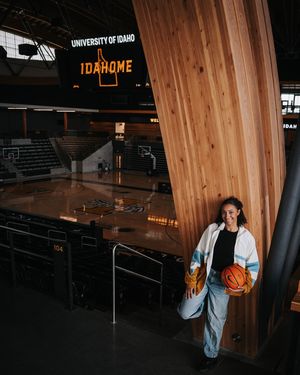 Image post by @vandalswbb on Instagram