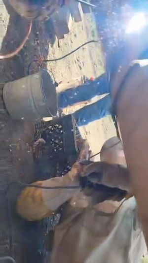 Video post by @thepipelinelife on Instagram