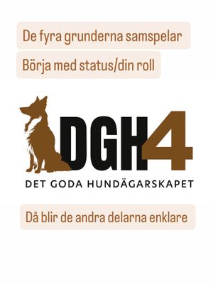 Image post by @det_goda_hundagarskapet on Instagram