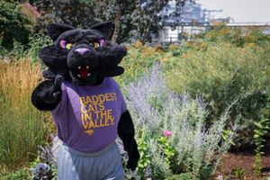 Image post by @northerniowa on Twitter