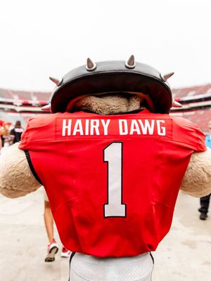 Image post by @ugahairydawg on Instagram