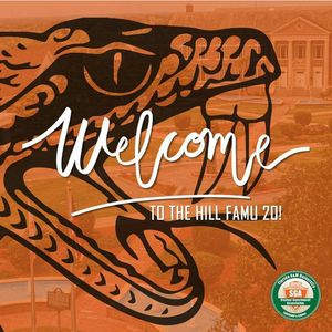 Image post by @famuathletics on Instagram