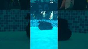 Video post by @jon4lakers on YouTube