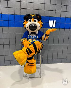Image post by @sabretooth_nhl on Instagram