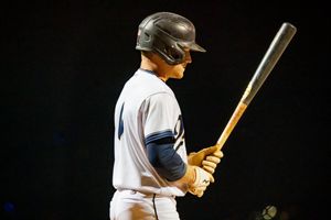 Image post by @OwlzNoCo on Twitter