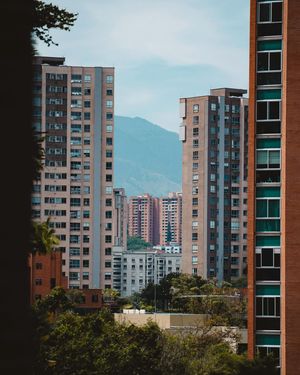 Image post by @alexorchilles on Instagram