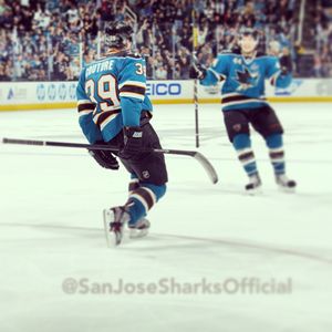 Image post by @sanjosesharks on Instagram
