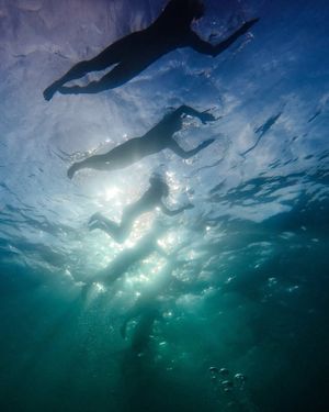 Image post by @ironmantri on Instagram