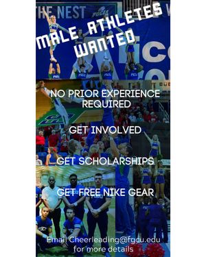 Image post by @fgcu_cheer on Instagram
