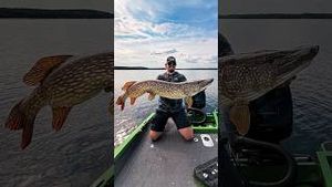 Video post by @jonasederfishing on YouTube
