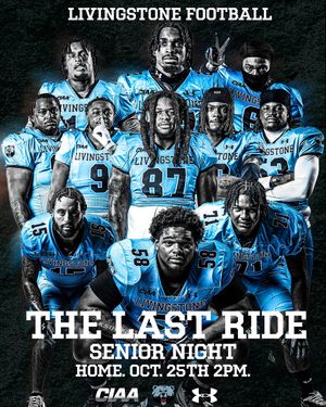 Image post by @bluebearathletics on Instagram