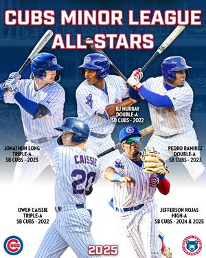 Image post by @sbcubs on Instagram