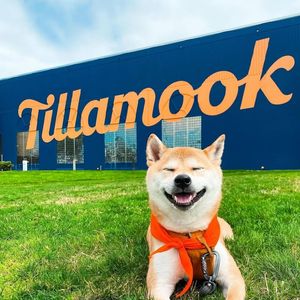 Image post by @Tillamook County Creamery Association on Facebook