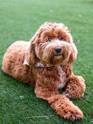 Image post by @jeffdicksonphotography on Instagram