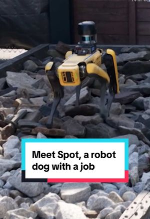 Video post by @60minutes on TikTok