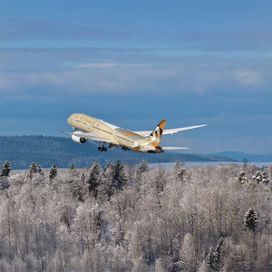 Image post by @etihad on Twitter