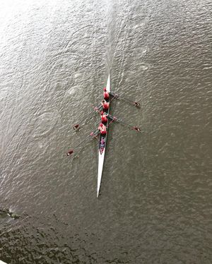 Image post by @bostonwithemily on Instagram