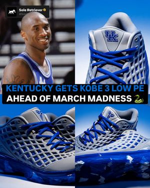 Image post by @soleretriever on Instagram