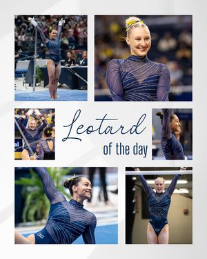 Image post by @umichwgym on Instagram