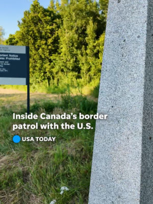 Video post by @usatoday on TikTok